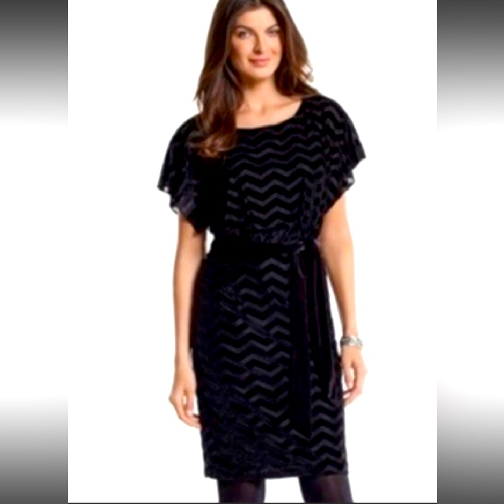 WHBM Chevron Velvet Dress